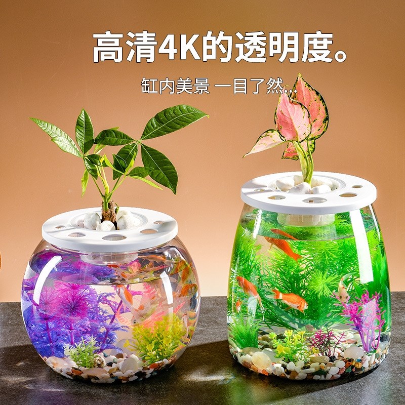 鱼缸小型桌面摆件客厅塑料高清客厅茶几带盖金鱼斗鱼水族箱办公室