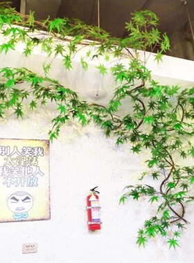 树藤枯藤条红山藤婚庆店铺家居装饰树藤吊顶免泡水真藤条装饰树叶
