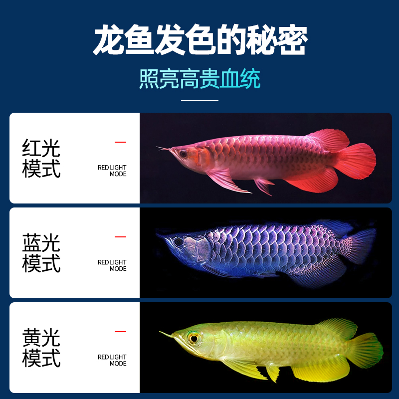 龙鱼专用灯水族箱增色增氧遥控变色照明灯气泡潜水led鱼缸灯防水