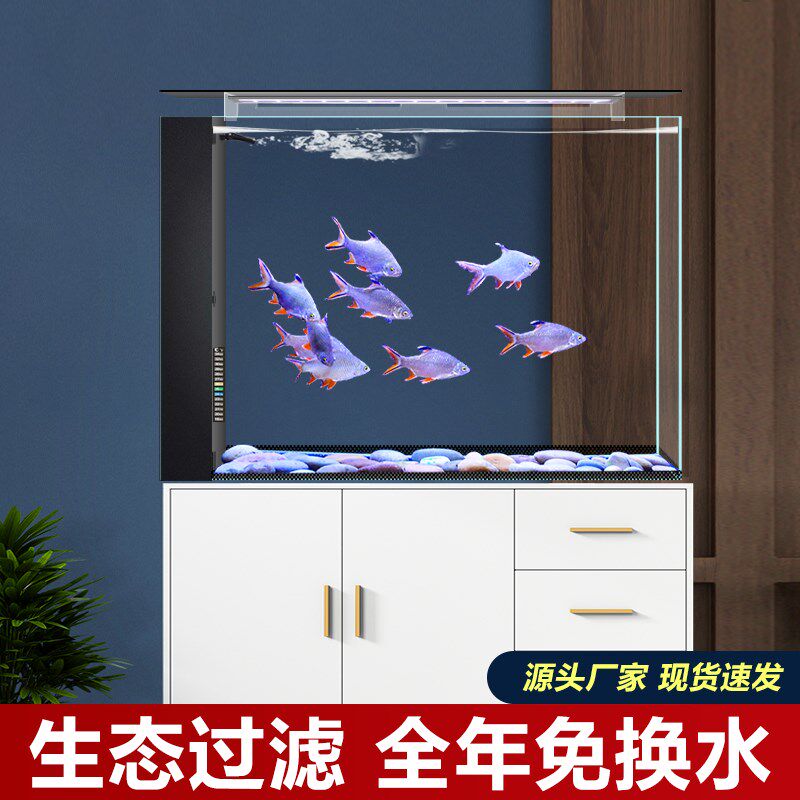 2025新款客厅小型家用屏风缸桌面生态过滤热带超白玻璃热带金鱼缸