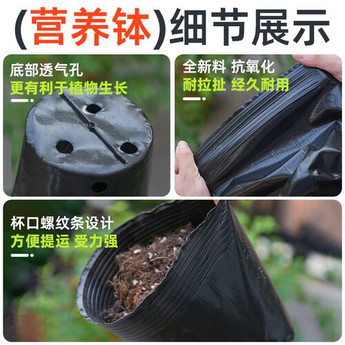 营养钵育苗盆营养杯育苗杯种植袋黑色农用抗老化简易营养袋育苗袋