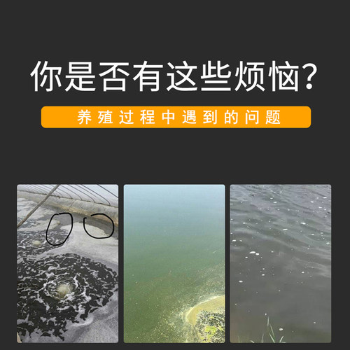 芽孢杆菌水产养殖鱼塘净水剂小龙虾蟹塘调水水质净化澄清枯草芽孢