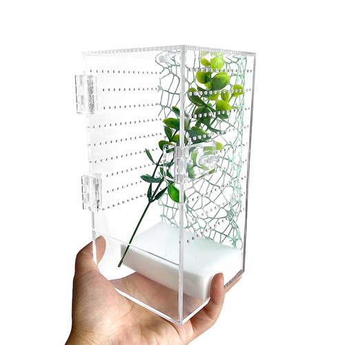 桌面雨林宠物饲养盒树栖捕鸟蛛兰花螳螂姥爷树蛙高款大号亚克力盒