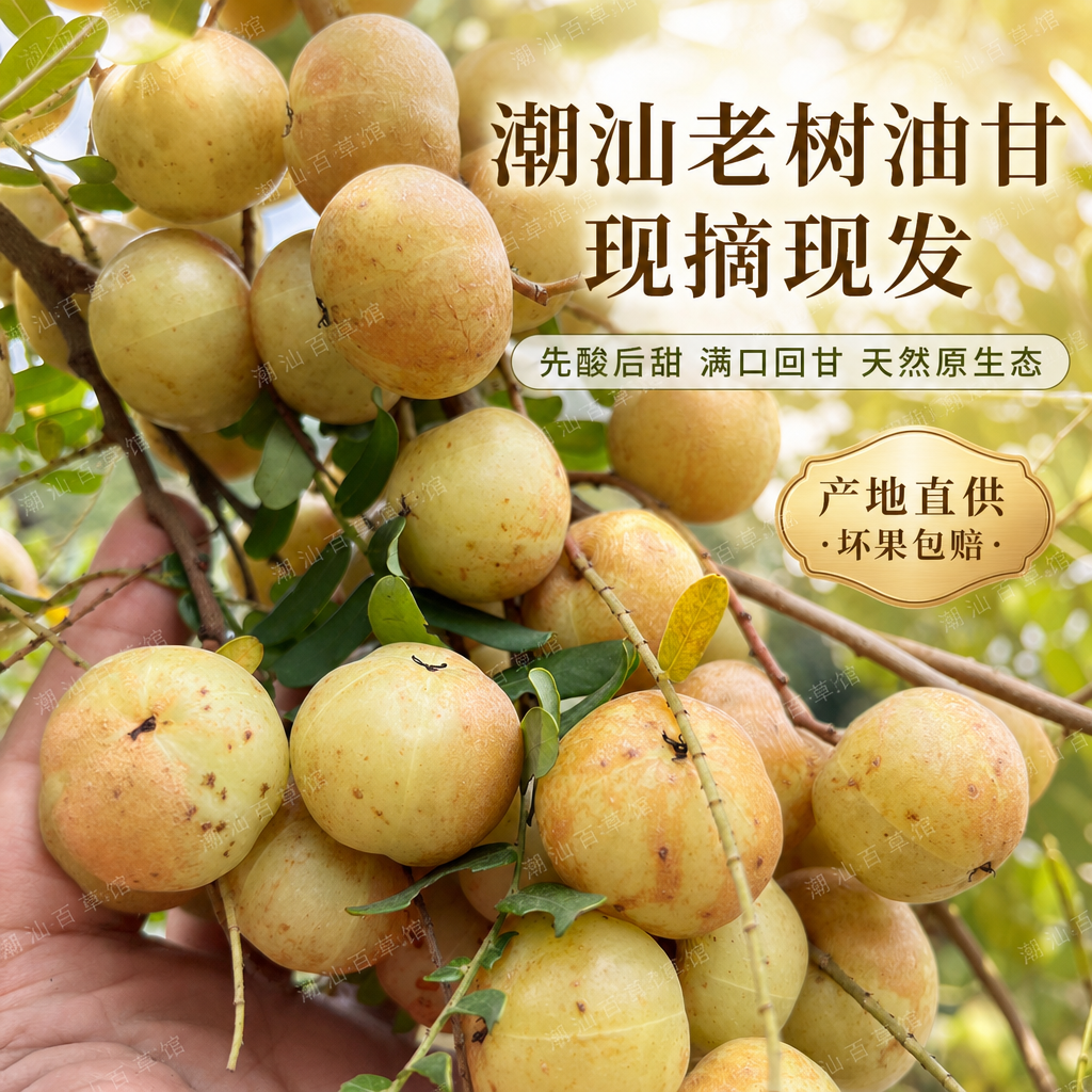 潮汕特产二季普宁油甘果柿饼甜油甘果余甘果榨汁油柑果当季鲜果