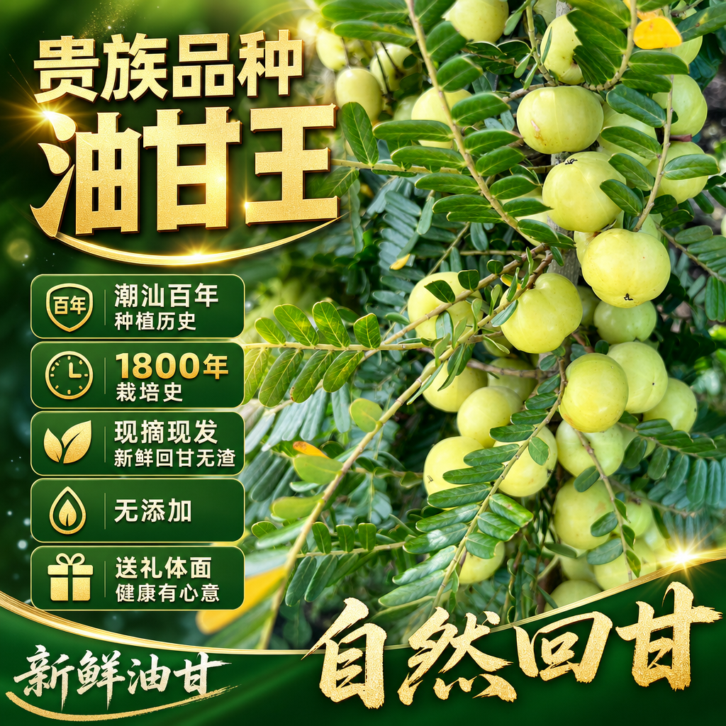潮汕特产二季油甘果柿饼甜油甘果余甘果榨汁油柑果当季鲜果
