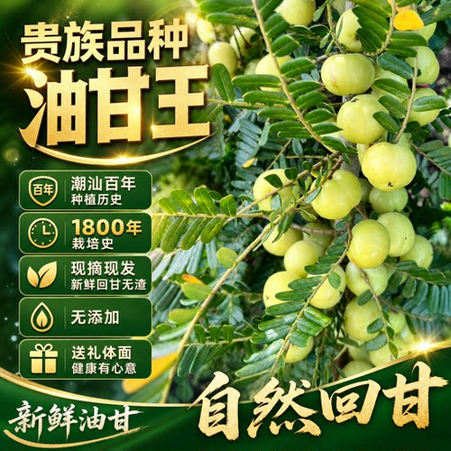 潮汕特产二季普宁油甘果柿饼甜油甘果余甘果榨汁油柑果当季鲜果