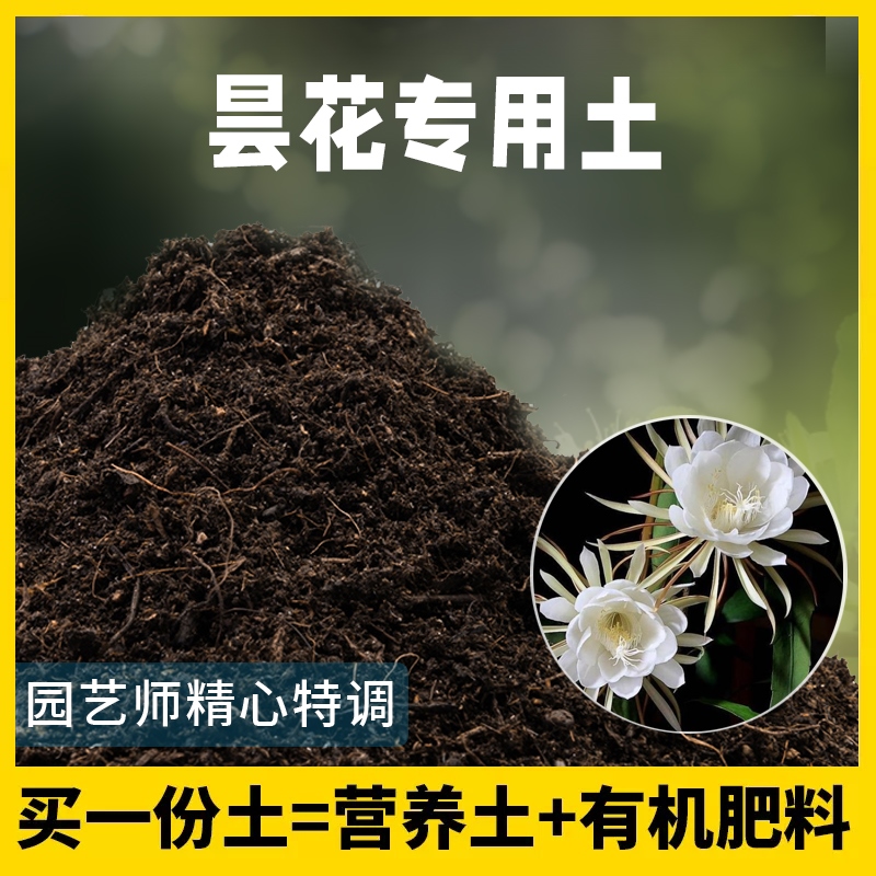 昙花专用土营养土家庭盆栽阳台绿植养花昙花腐殖土种植有机营养土