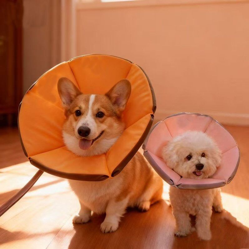 狗狗伊丽莎白圈猫咪脖套防舔围脖小狗加深软项圈宠物绝育用品