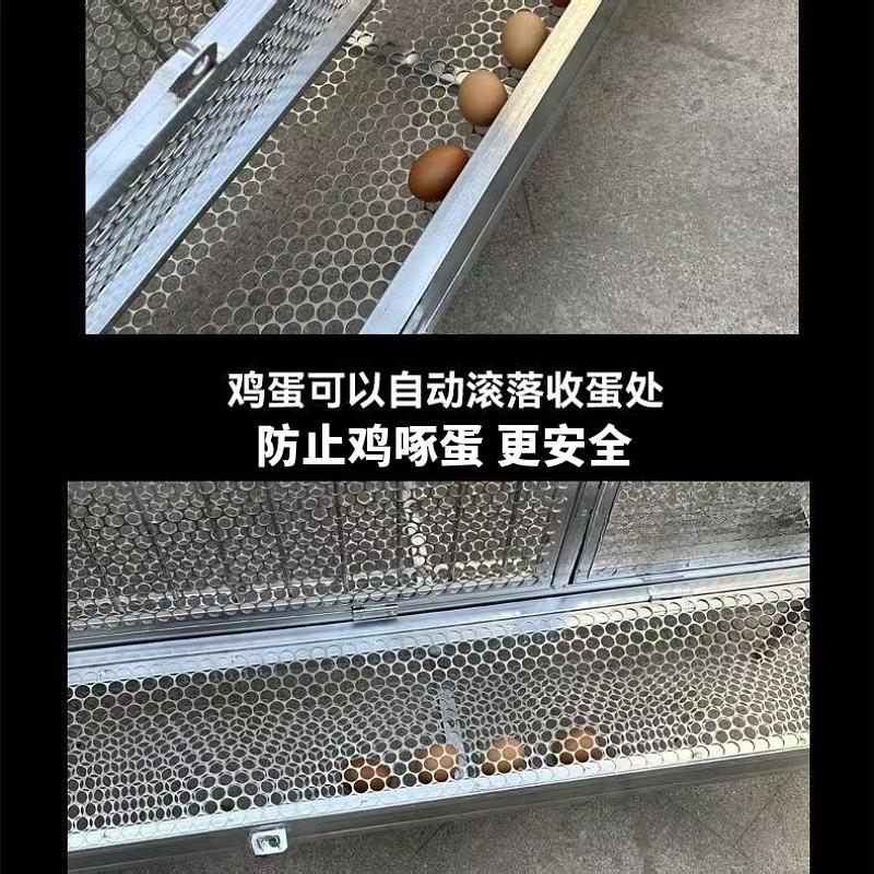 鸡笼子家用室内大号大鸡笼自动清粪防黄鼠狼室外蛋笼专用兔养殖笼