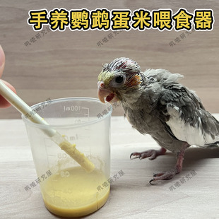 鹦鹉蛋米喂食器幼鸟针管器八哥雏鸟鸽子喂鸟人工雏鸟针筒喂食工具