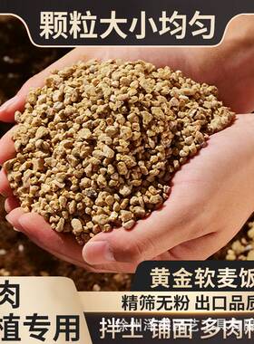 饭石多肉花卉栽培基质营养土垫底过滤5斤装土壤绿植植物防晒袖套