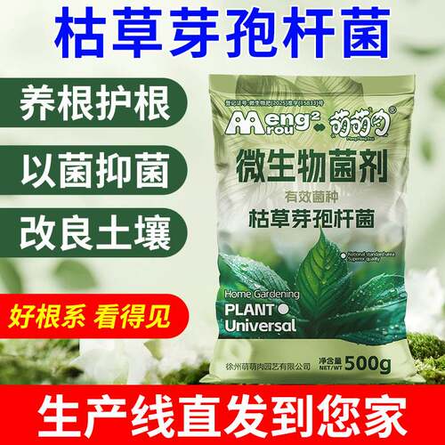 Bacillus Subtilis Spore Powder, Soil Probiotic for Gardening