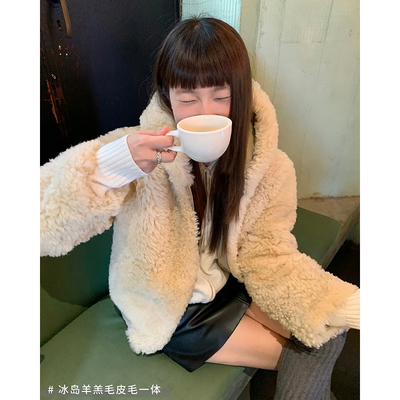 冰岛羊羔毛皮毛一体外套冬宽松减龄连帽加厚短款皮草2025B2167