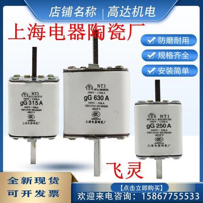 上海陶瓷厂NT00 RT16 NT1 NT2 NT3 NT4飞灵熔断器RT16-1 2 3 80A