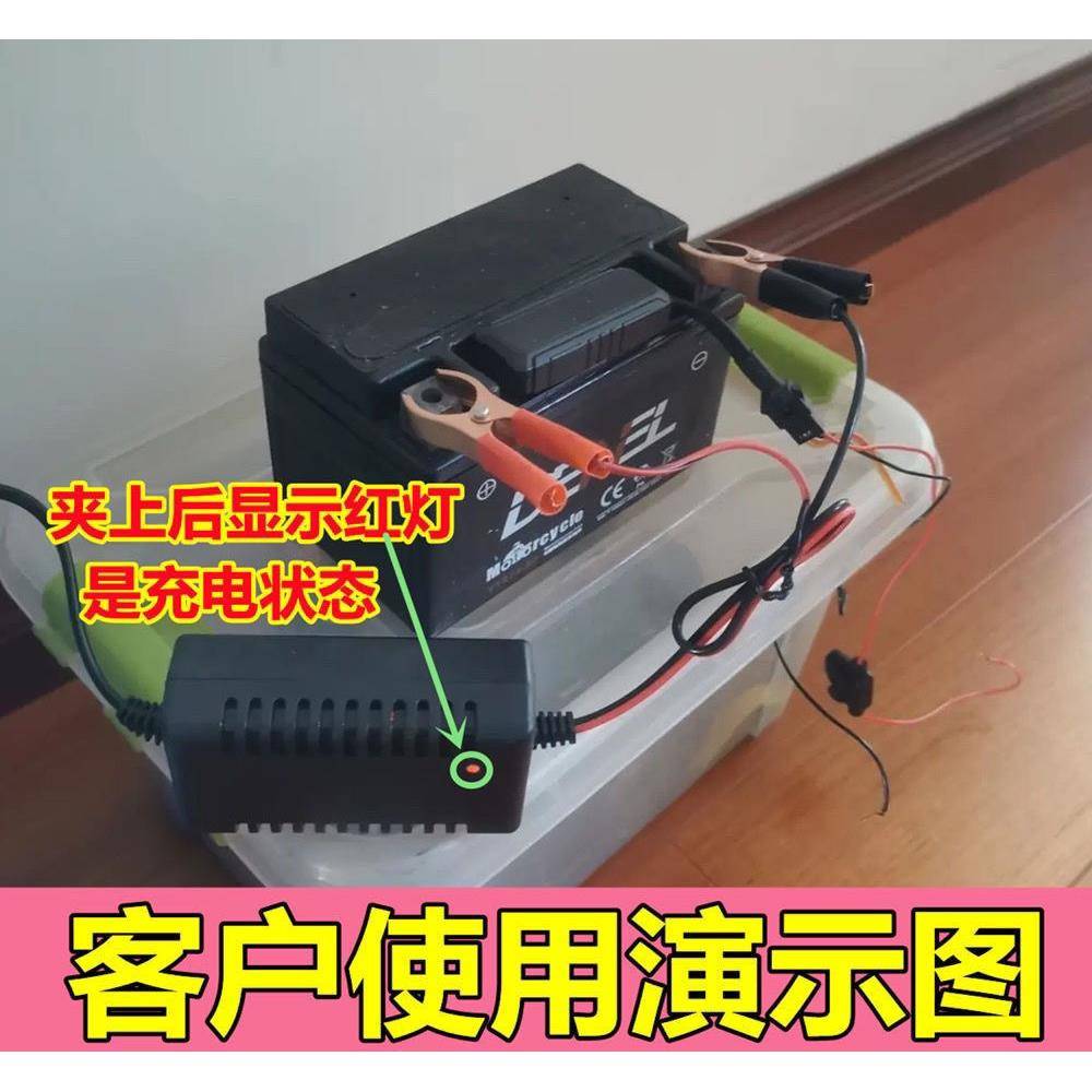 12V电池充电器12伏电动车单块铅酸电瓶充电器蓄电池智能修复通用