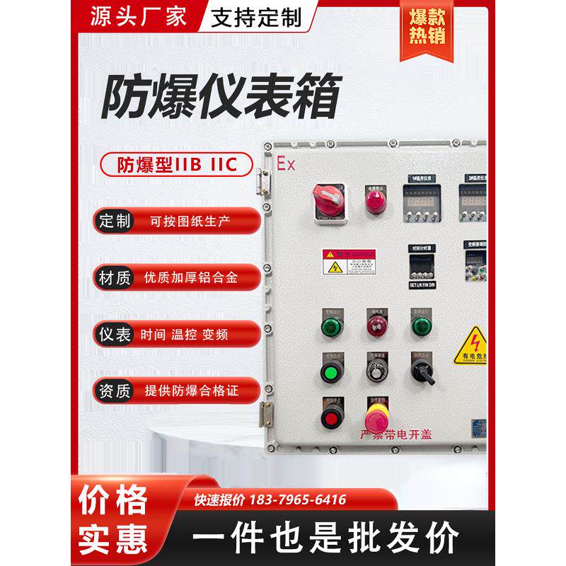 防爆温控仪表配电箱时间定时控制柜PH计变频器转速表接线箱EX定制