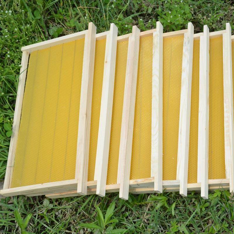 八千成品巢框蜜蜂巢础带框巢脾中蜂蜂巢杉木蜂箱专用全套养蜂工具