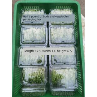 豆芽豆苗水培芽苗菜豌豆苗一次性塑料种植盒带盖育苗盘打包盒