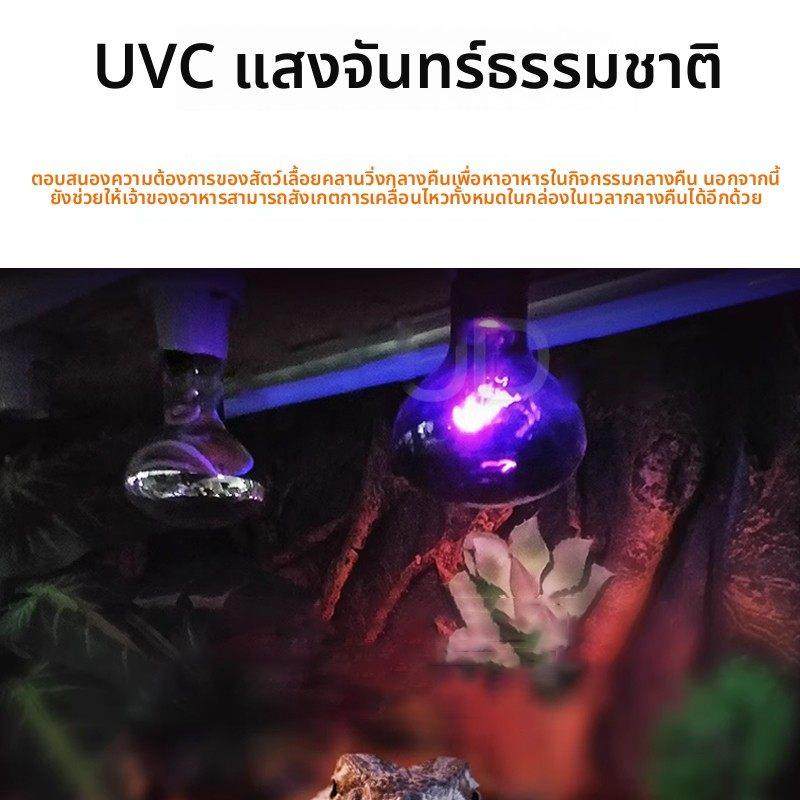 爬虫宠箱UVA夜灯 宠物夜间保温加热月光灯陆龟蜥蜴 终生质保,宠物/宠物食品及用品,爬宠缸/箱,淘宝优惠券,粉丝福利购,淘宝优惠卷