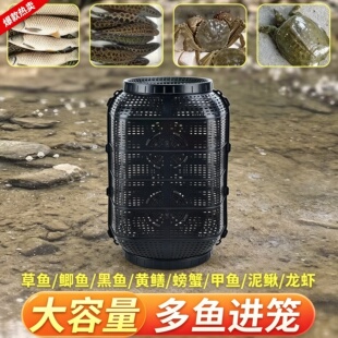 精选特大鱼笼自动进鱼笼捕获鱼虾龙虾黄鳝泥鳅捕鱼笼爆笼捕鱼神器
