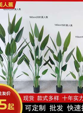 仿真天堂鸟skybird水美人假绿植美人蕉盆栽树北欧客厅旅人蕉树