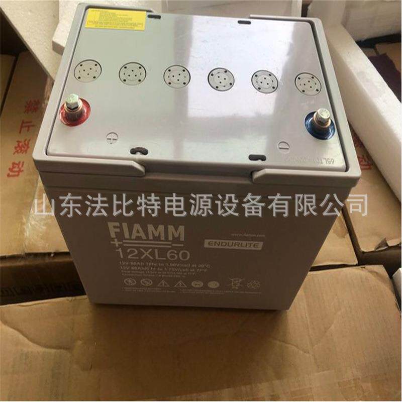 FIAMM铅酸蓄电池12XL60免维护12V60Ah武汉非凡蓄电池