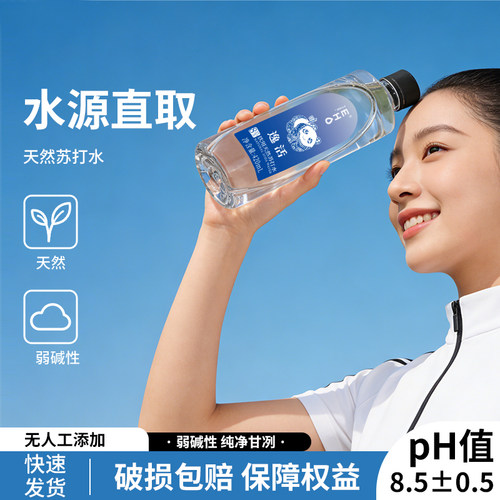 EHO泉匠逸活碱性无气苏打水24瓶