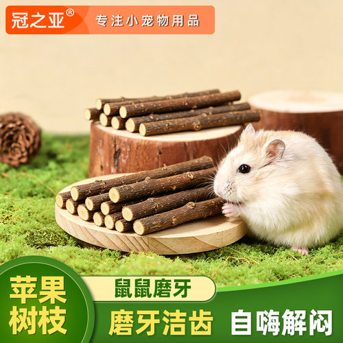 仓鼠磨牙棒苹果树枝苜蓿甜竹