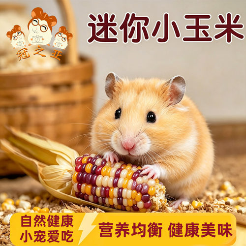 仓鼠磨牙玉米小零食兔子豚鼠龙猫饲料金丝熊粮食地鼠形玉米磨牙棒