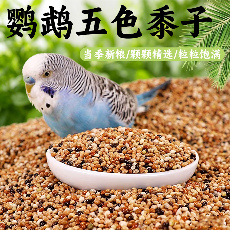 宠宠仔牌子的鹦鹉专用营养鸟粮