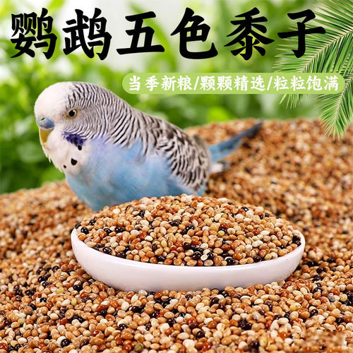 宠宠仔牌子的鹦鹉专用营养鸟粮
