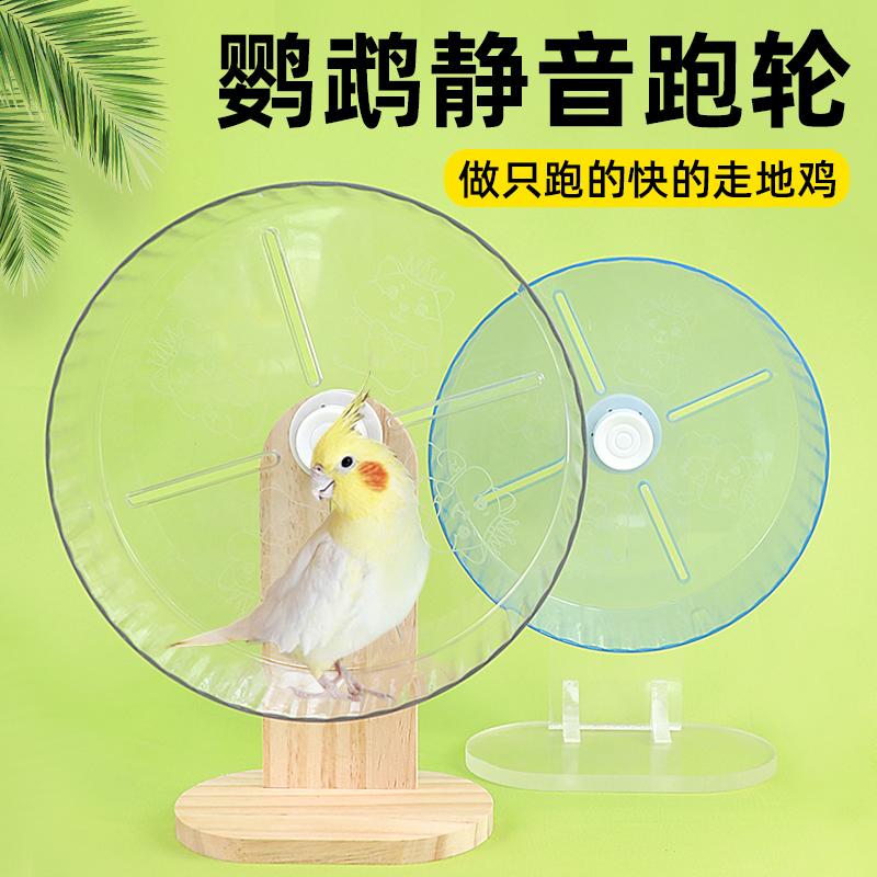 宠宠仔鹦鹉跑轮玩具益智解压