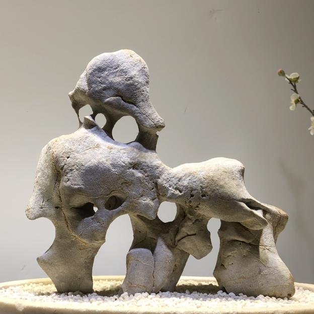 天然原石太湖石奇石观赏石鱼缸摆件假山石头景观石盆景园林灵璧石