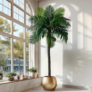 超大型仿真椰子树针葵假椰树仿生假树绿植物盆栽室内客厅造景摆件