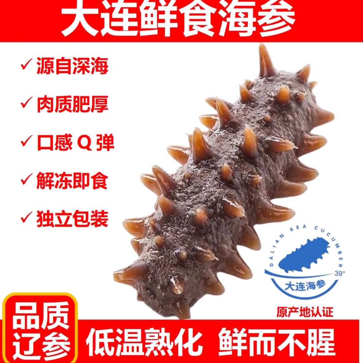 1斤大连鲜食即食海参刺参即食辽参平洋岛海参产地发货顺丰直达