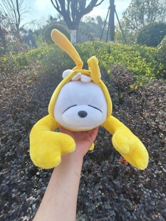 批发韩国伪装流氓兔大龙虾毛茸玩具玩偶生日礼物儿童玩具抱枕