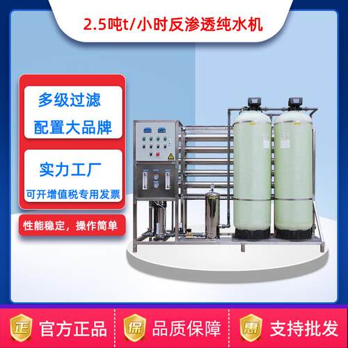 芯片陶瓷碳化硅清洗edi超纯水设备 2吨/时双级ro反渗透水处理定制