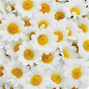 4cm 新款 12叶小菊花100朵一包 直销仿真小太阳花 12叶 向日葵花头