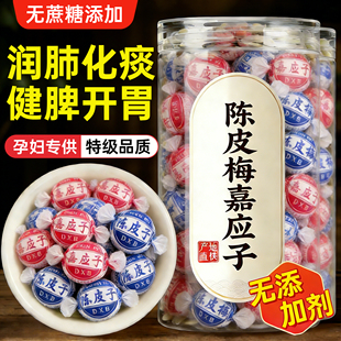 陈皮梅嘉应子正宗广东特产蜜饯果脯凉果话梅零食年货官方旗舰店