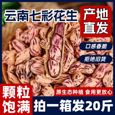 新货胖東来云南七彩花生旗舰店带壳生熟野地花生米黑花生特级云南