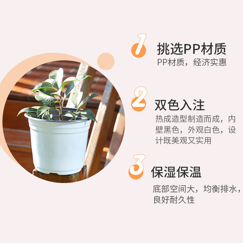 白色双色盆育苗盆加厚塑料大号一次性简易花盆营养钵育苗杯营养杯