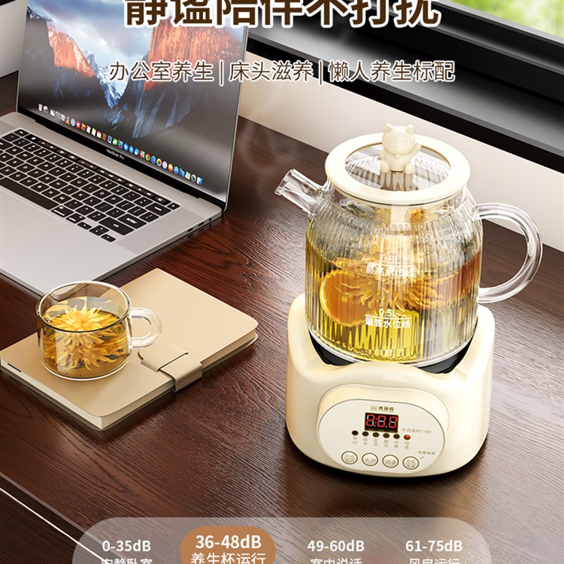 全玻璃养生壶煮茶器煮茶壶烧水壶工位多功能办公室小型迷你花茶壶