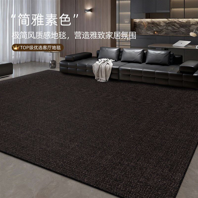 客厅地毯防水防污黑色高级感沙发茶几免洗耐脏地垫满铺卧室床边毯