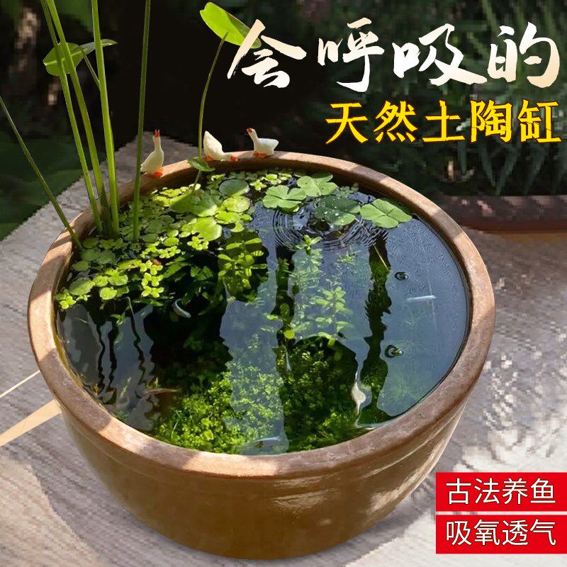 老式土陶水缸古法生态养鱼缸农村庭院造景缸瓦缸睡莲盆缸陶瓷大缸