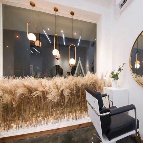 天然芦苇干花橱窗装饰婚庆道具