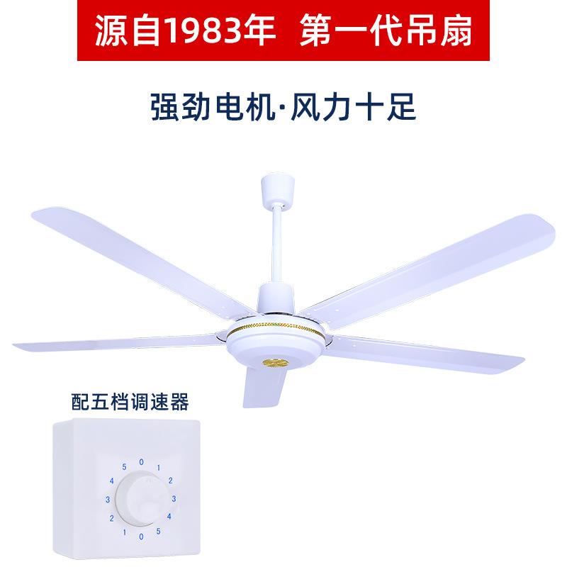 直销新款吊扇48寸56寸吊纯铜线铁叶不锈钢大风力吊顶风扇家用