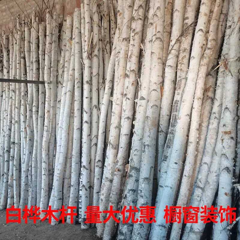 直销新款白桦树杆酒店壁炉原木桦树枝园林景观桦木杆橱窗软装装修