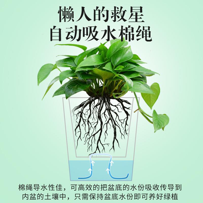 直销新款吸水棉绳自吸水花盆养花吸水绳棉线包芯棉线绳懒人花盆专