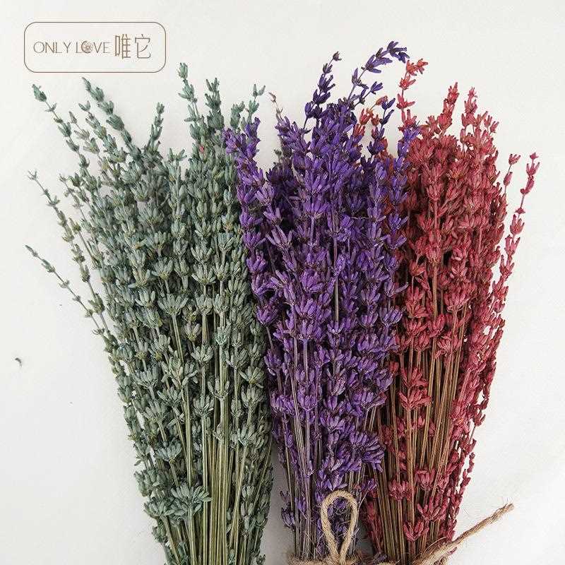 新款直销永生薰衣草干花花束真花客厅居家装饰摆设花材风干花束真