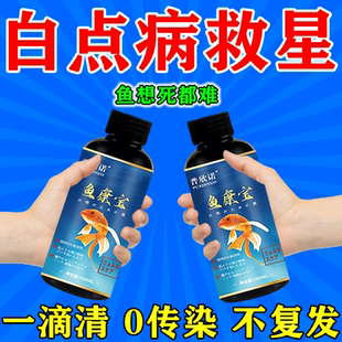鱼康宝鱼病专用鱼药烂身烂尾白点白毛掉鳞蒙眼趴缸消炎杀菌消毒液